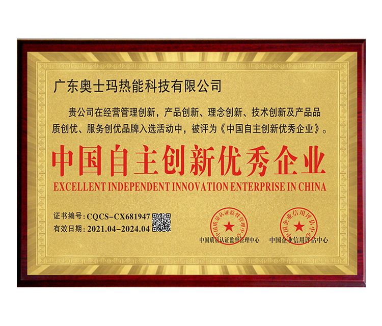 中国自主创新优秀企业